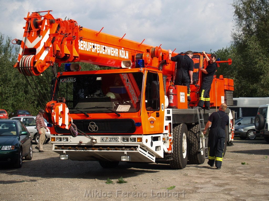 Pferdeunfall Koeln Hoehenhaus  19.JPG